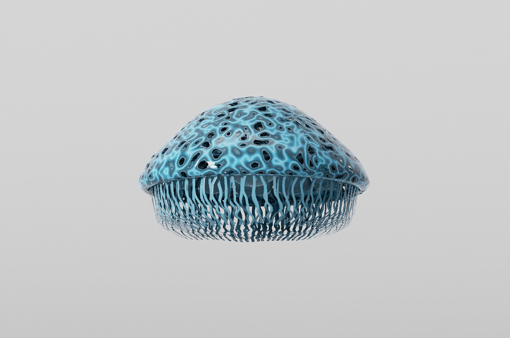 海蜇-1